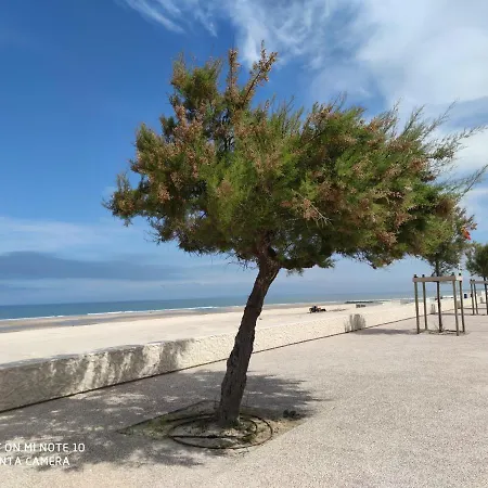 Cote - Devant L'ocean 公寓 滨海苏拉克