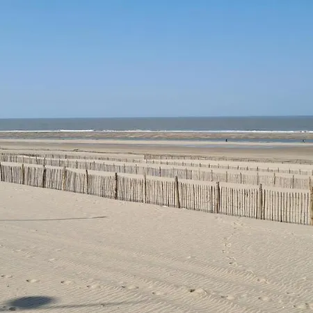 Cote - Devant L'ocean *