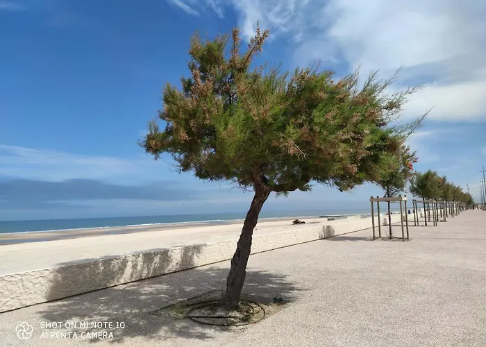 Côté - Devant L'océan Apartamento Soulac-sur-Mer