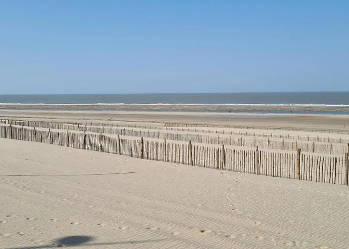 Côté - Devant L'océan *